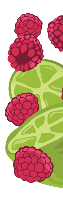 Raspberry Fields Forever in a Social Seltzer