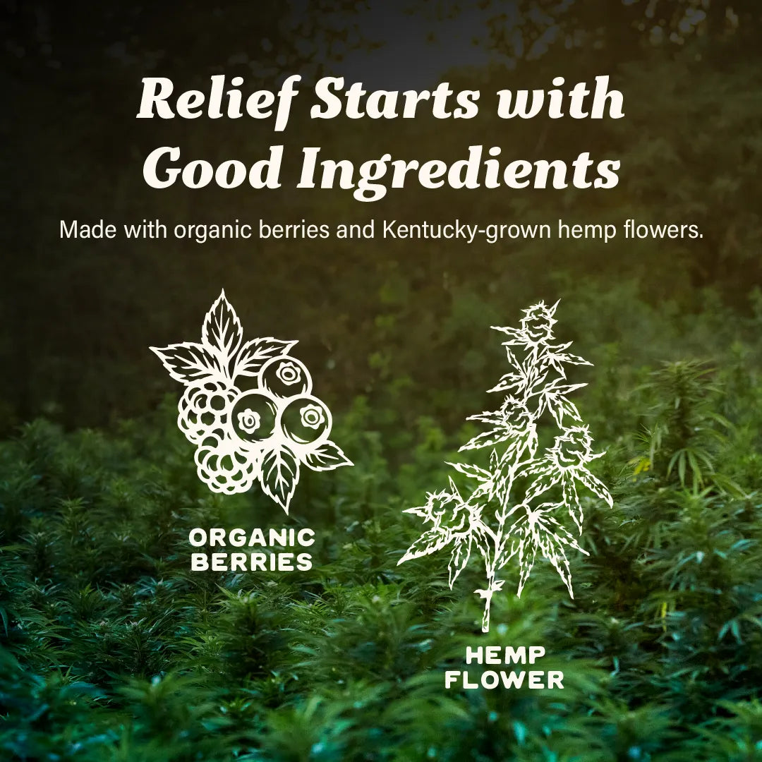 Berry Wellness Gummies