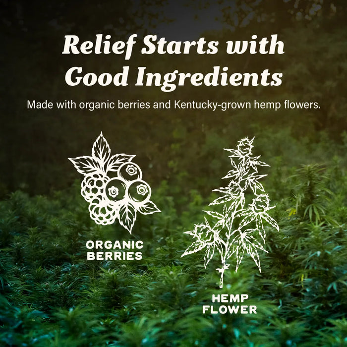 Berry Wellness Gummies