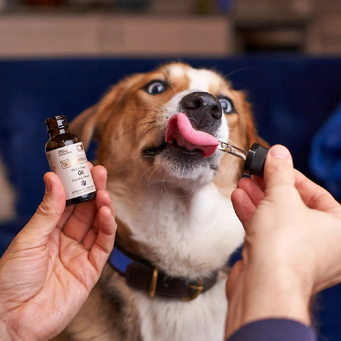 Oil for Pets