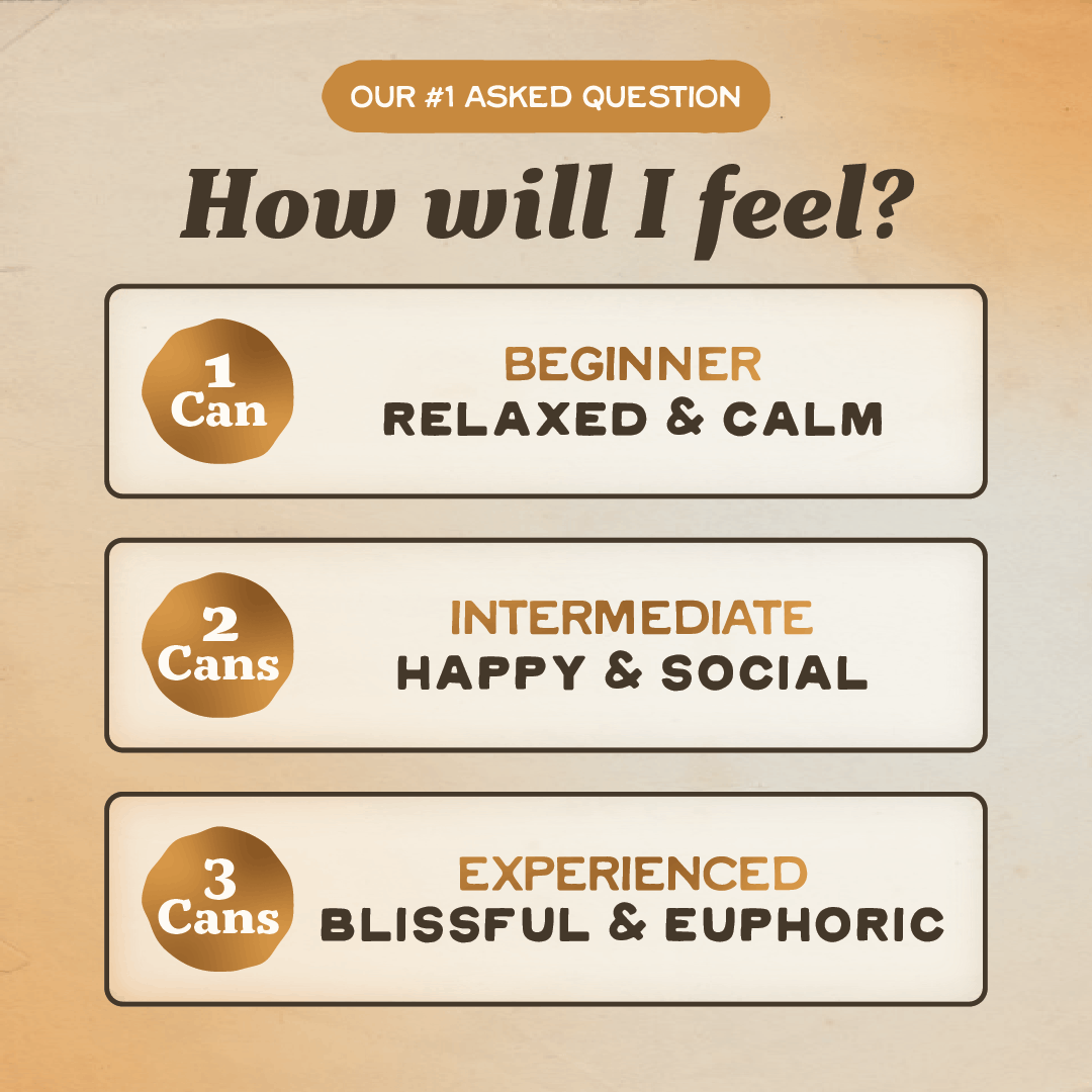 Variety Pack Social Seltzer - 4 Pack