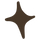 Star icon