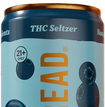 Blueberry Breeze Seltzer