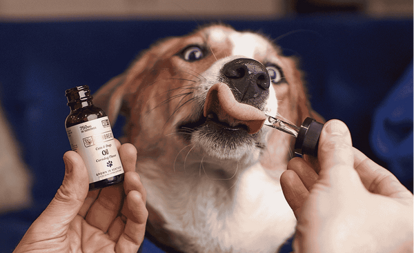 Pet Hemp Oil Cornbread Farms