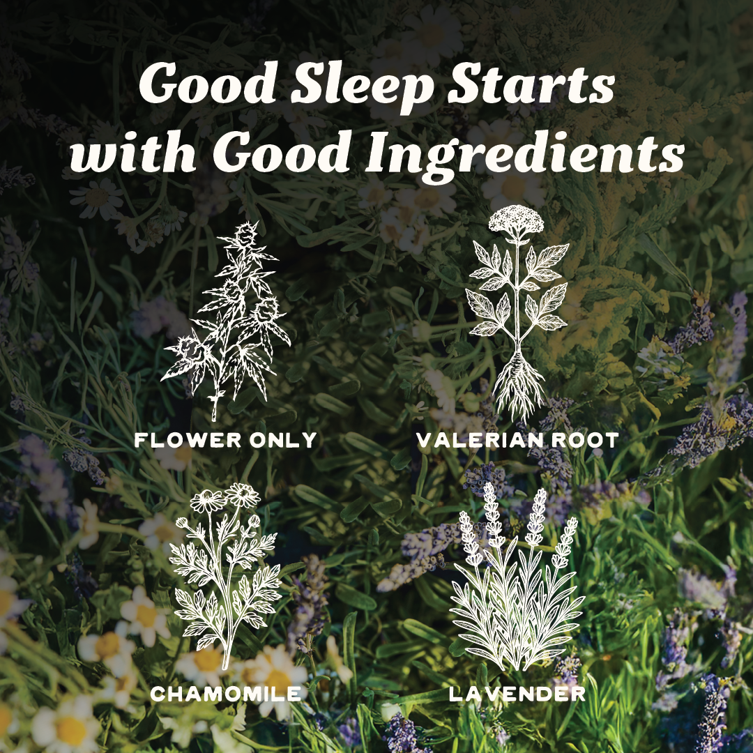 Infused Sleep Gummies