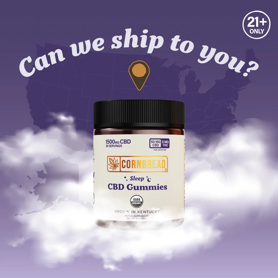 Wellness Isolate Sleep Gummies