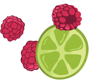 Raspberry icon