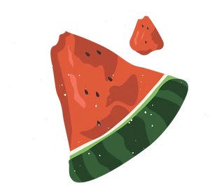 Watermelon icon