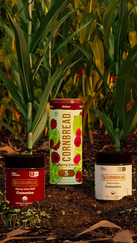 Cornbread Raspberry Limeade Seltzer