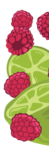 Raspberry and Lime Icons