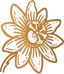 Passionflower 